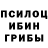 Псилоцибиновые грибы мицелий Life_NR 399
