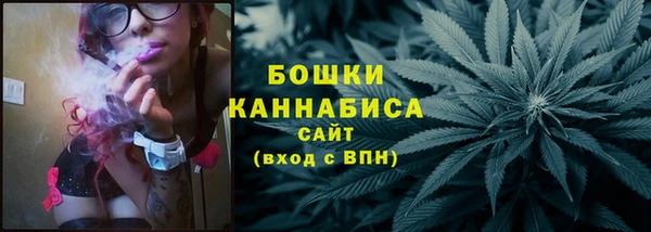 стаф Богородск