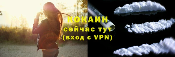 стаф Богородск