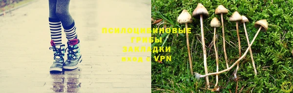Альфа ПВП Богданович