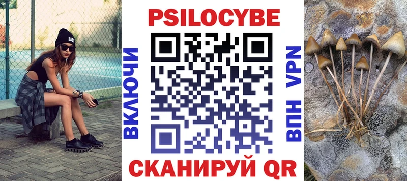 Купить где  Гороховец  Галлюциногенные грибы Psilocybine cubensis 
