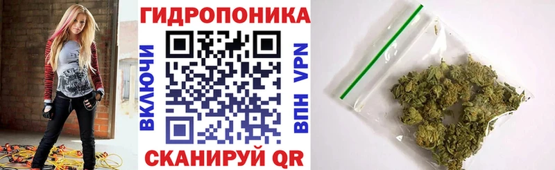 Купить где Гороховец Конопля VHQ